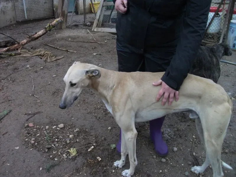 14725490 1154102628006924 431202230678636410 n