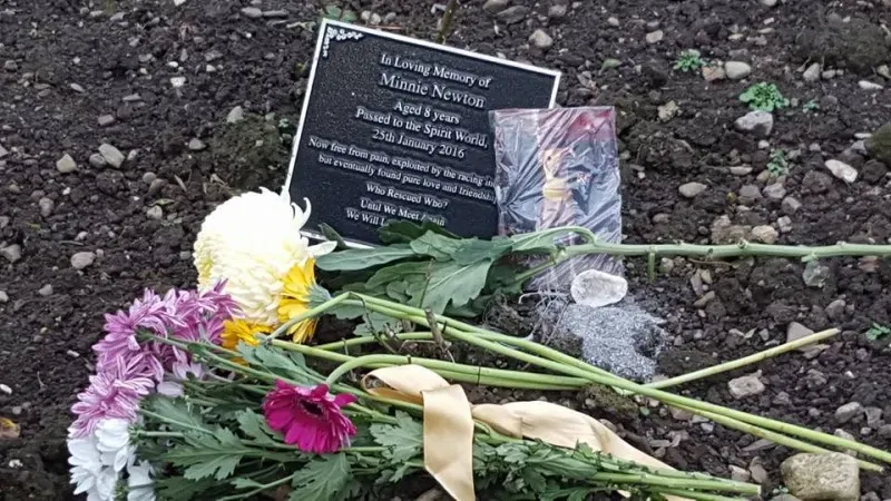 14725572 1121538024620998 3932503842375548445 n