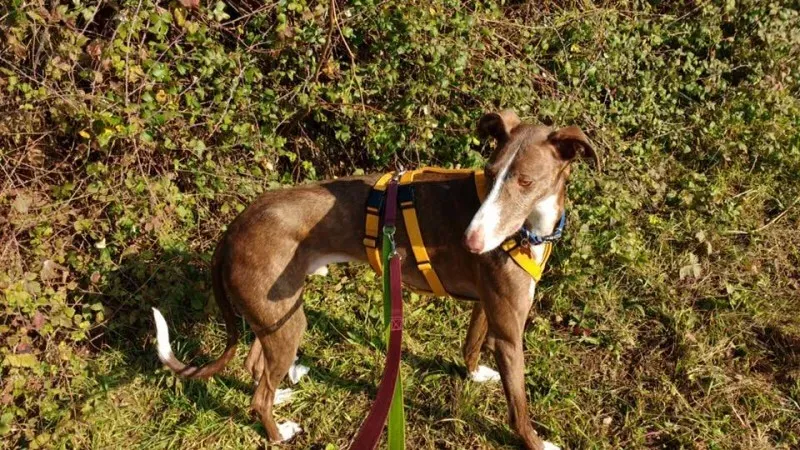 14725689 10208737724053144 2983532950186882870 n