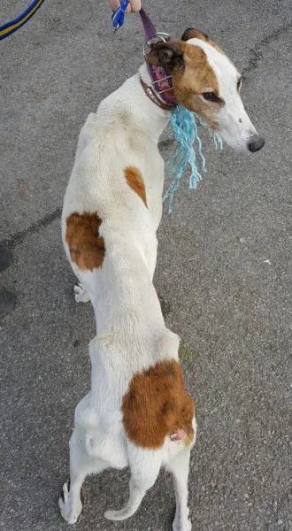 14729157 10154667122271255 1663356570450313795 n 1