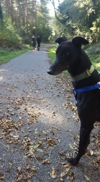 14729249 10154657182186255 7144972872779512170 n