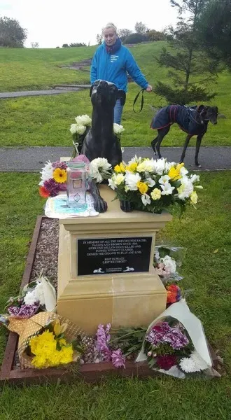 14729282 1121537977954336 3516662428465162790 n