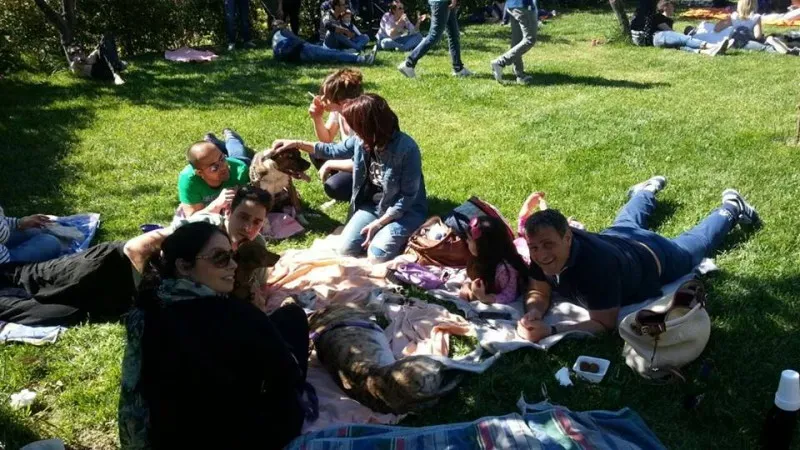 1472933 10205658702379282 4303870463675420079 n