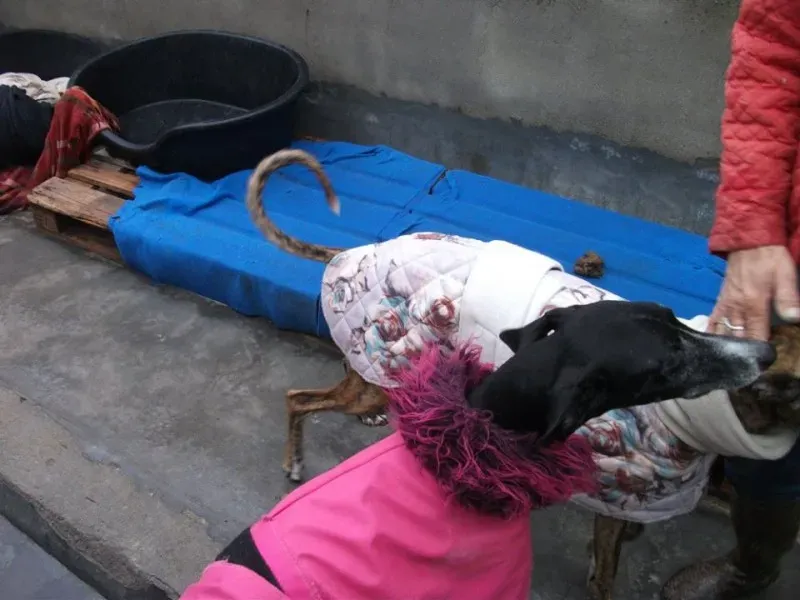 14729350 1154100598007127 4206001527983153773 n