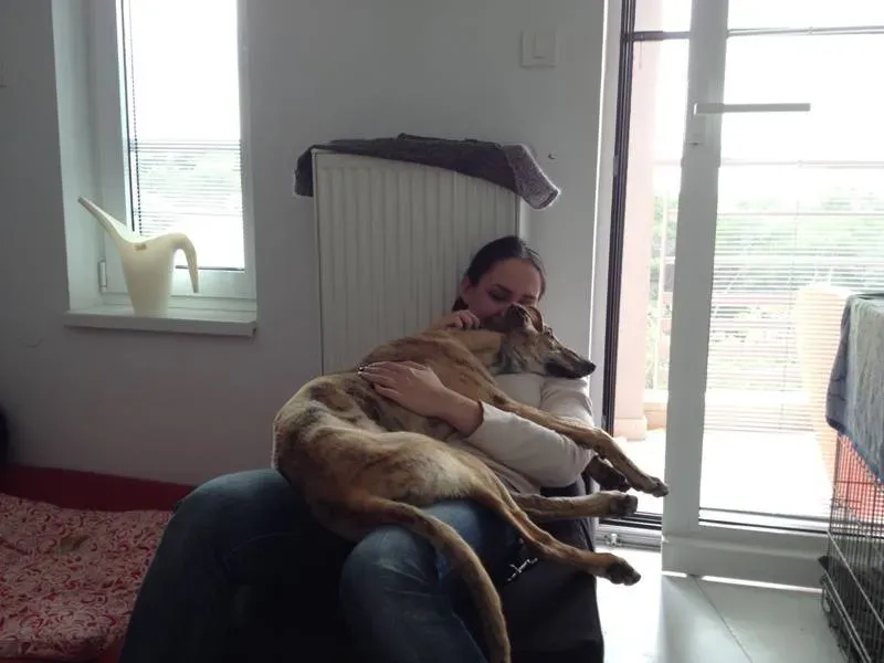 1473027 421626757963333 995271439 n