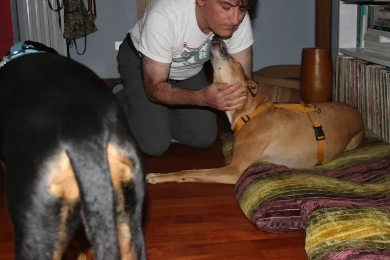 1473030 708082569275601 9168068514435195384 n