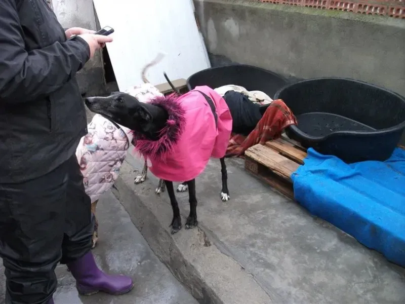 14731337 1154100348007152 4879565066901835716 n