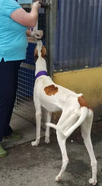 14732123 10154681002426255 45951476923635784 n