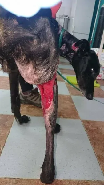 14741010 10211156342335522 1230620860 n