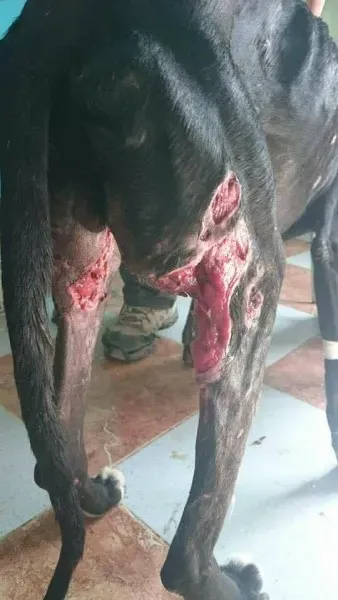 14741208 10211156343135542 1693848175 n