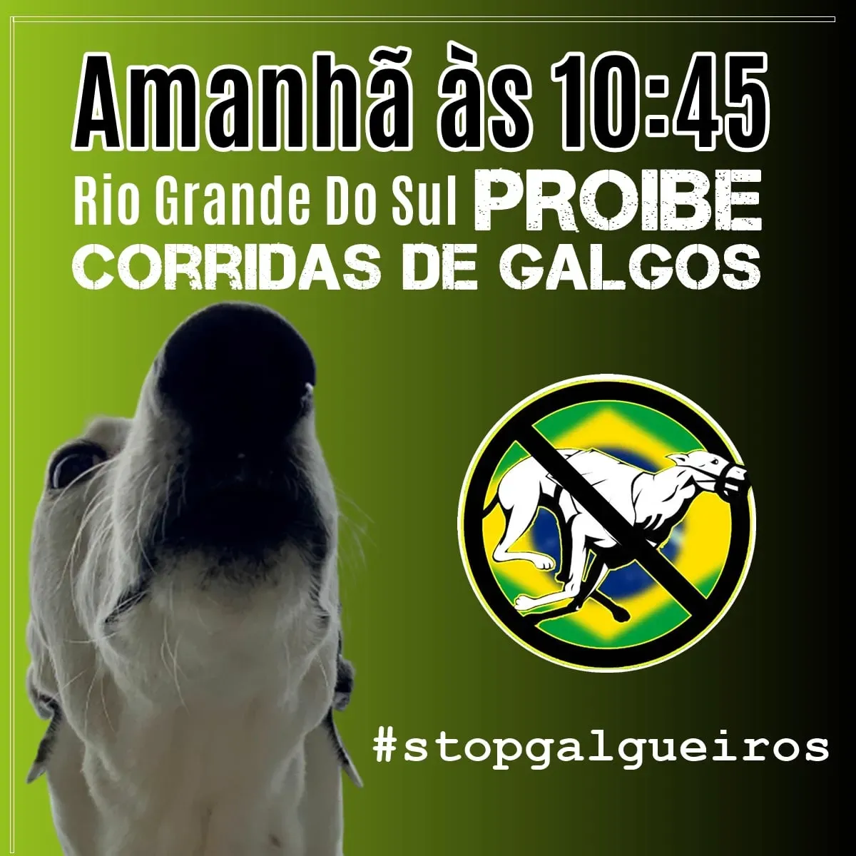 147432025 1157042988088144 5349432451902334884 o