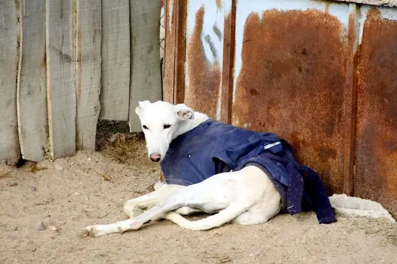 1476034 552248354859024 845317796 n