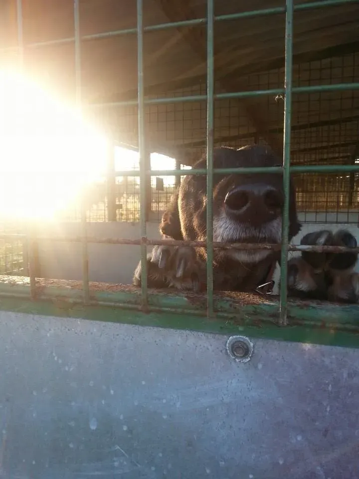 1476232 671672836186585 1172274810 n