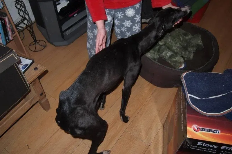 1477645 606351782751324 999366258 n