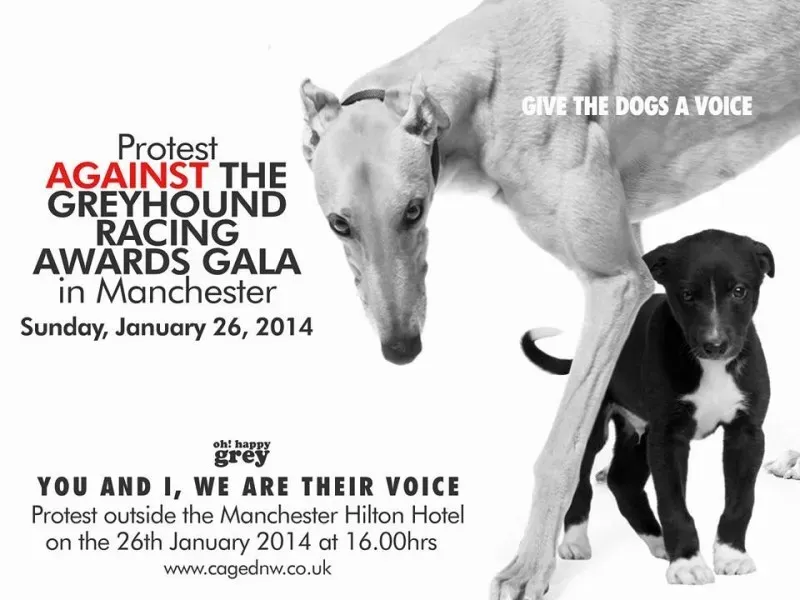 1477829 547167062041568 2049948269 n