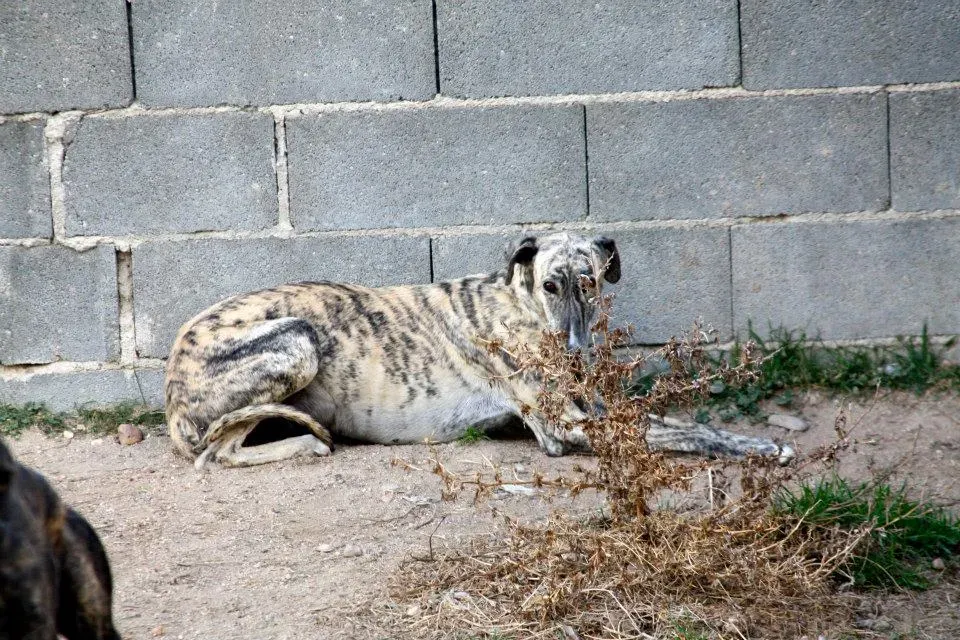 1477979 552261144857745 1123075932 n