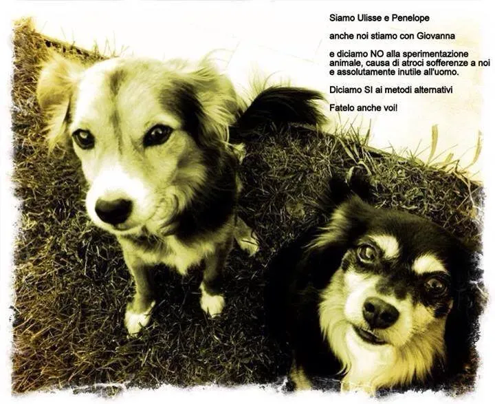 1478917 570076673076192 1932266669 n