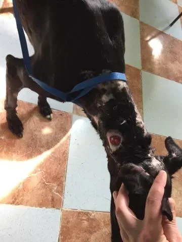 14794166 10210877662200693 1725978690 n