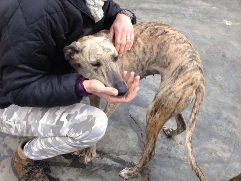 1479460 986366564780532 5380021921204964329 n