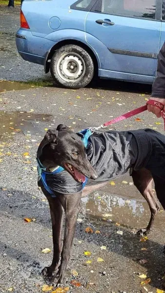 14795698 10209558654856790 1915962539 o