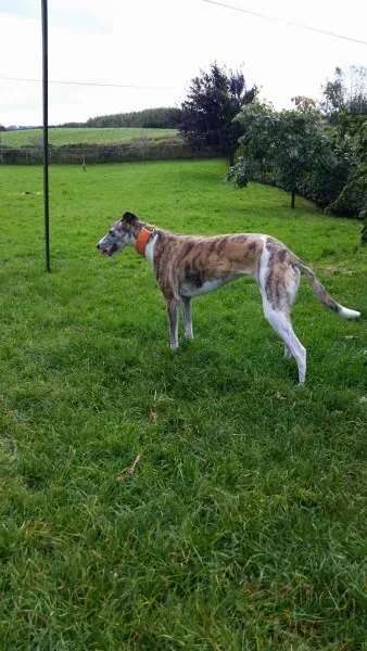 14796105 10210976189630364 776718643 o