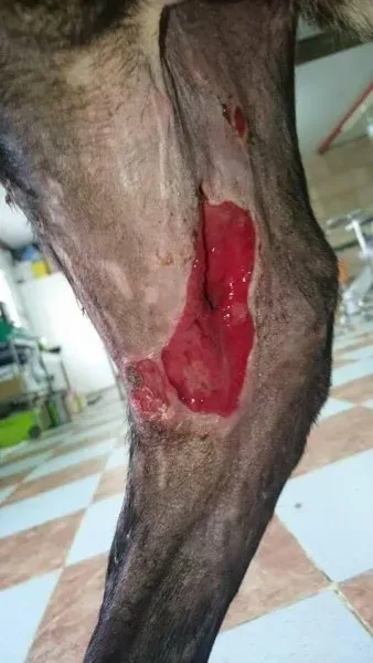 14797558 10211156342175518 12850761 n