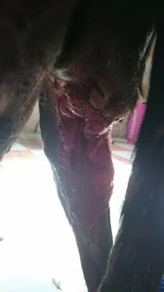 14798769 10211156342535527 501313795 n