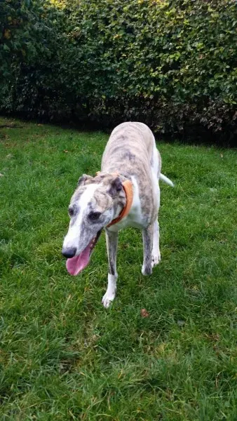 14800297 10210976185990273 746302098 o