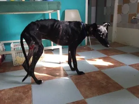 14800938 10210877660280645 2019907256 n 1