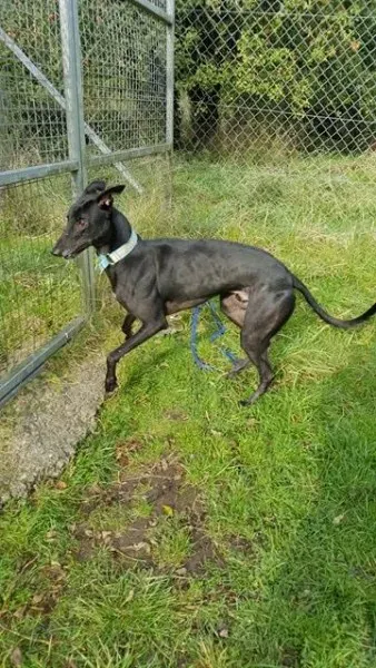 14804759 10209635534218726 1115354737 n