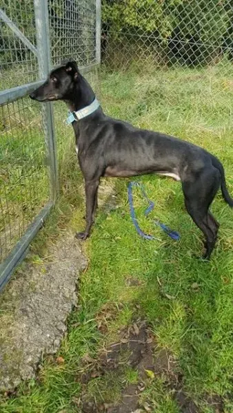 14805602 10209635534418731 978027663 n