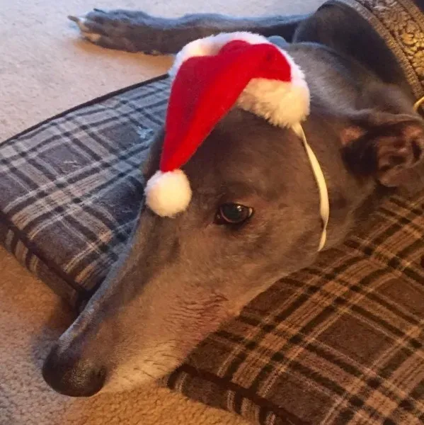 1480569 10206771034748739 884459231322210286 n