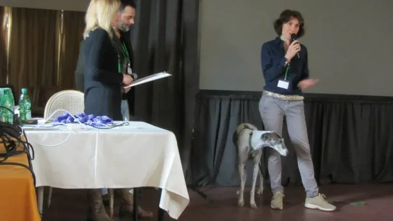 1480708 604158296347337 8729836869793482448 n