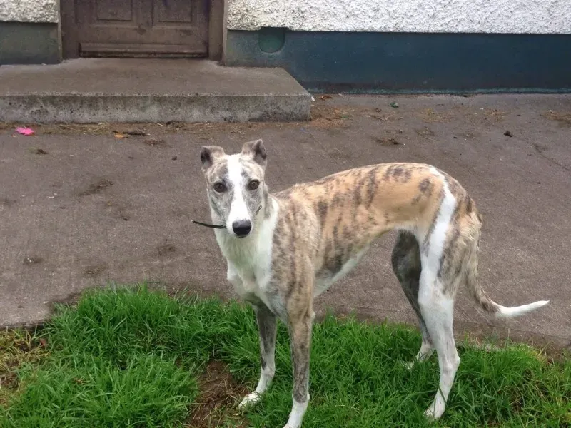 14808670 10210976193910471 1415605960 o