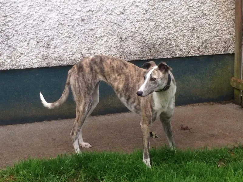 14808689 10210976195750517 1589297474 o