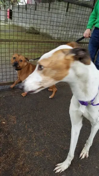 14812967 10209646511213144 1340225784 o