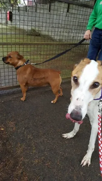 14813045 10209646510853135 1105586690 o