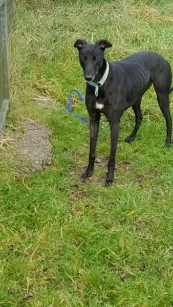 14813656 10209635535938769 619600722 n