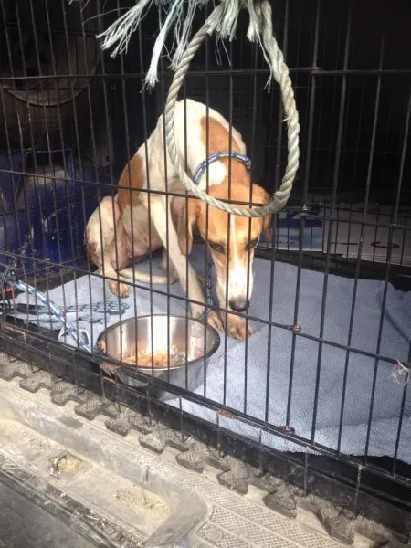 1483386 1072394819444883 8008952791121977413 n