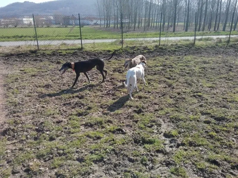 148344 222077394653717 360031047 n