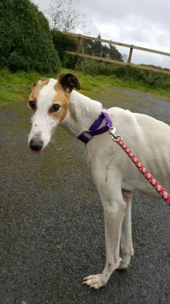 14859442 10209647062306921 722320919 o