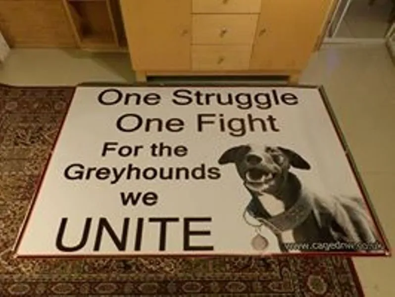 1487425 693139317397550 742343753 n