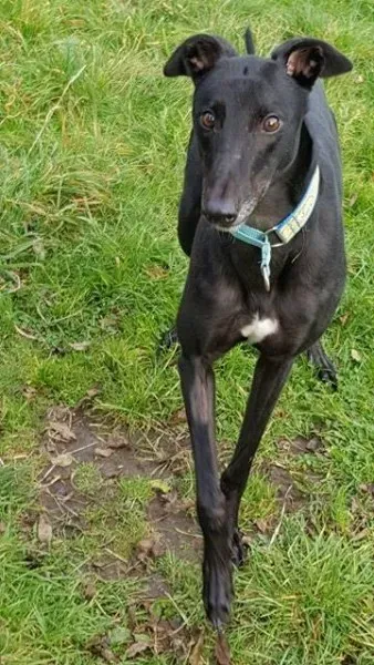 14874910 10209635535818766 1145327172 n