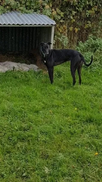 14874933 10209635536778790 615504994 n