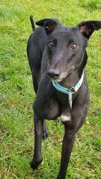 14877071 10209635535698763 389641598 n