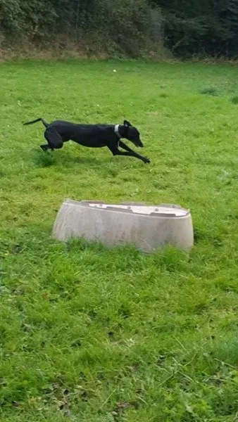 14877077 10209635535658762 1048082992 n