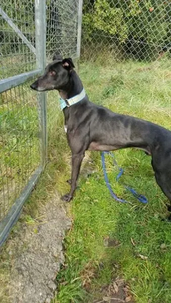 14877289 10209635535258752 1621156913 n