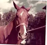 1488552 554427217982219 1510771928 n