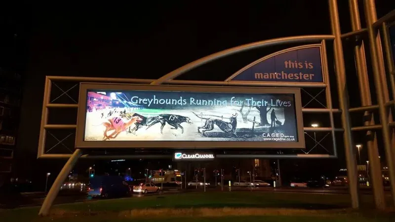 1488724 426595630868996 3870356909591063964 n