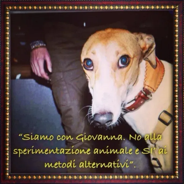 1489089 570054159745110 763998272 n